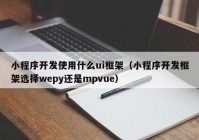 小程序开发使用什么ui框架（小程序开发框架选择wepy还是mpvue）